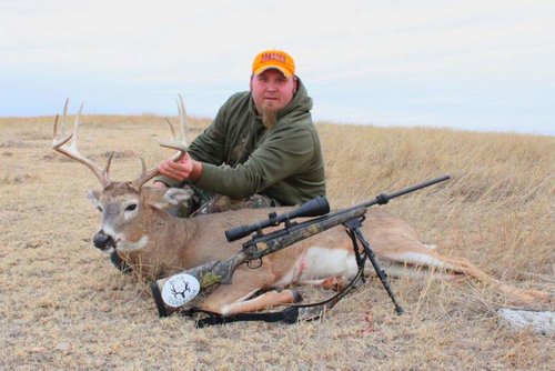 deer 2011 003ad.jpg