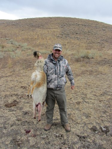 colorado elk hunt 009 (600x800).jpg