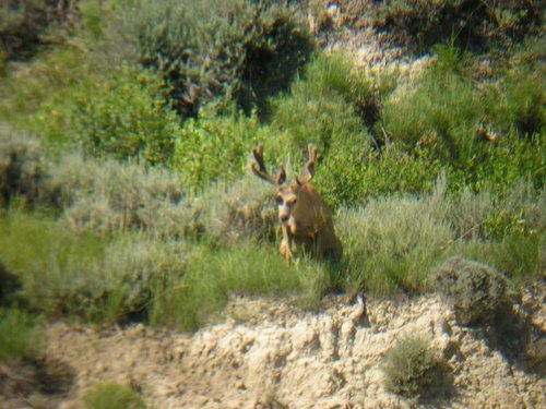 Soda 07-09-11 (30).jpg