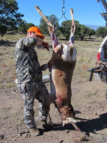 Utah  antelope 2011 017.jpg