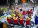DSCN0623.JPG
