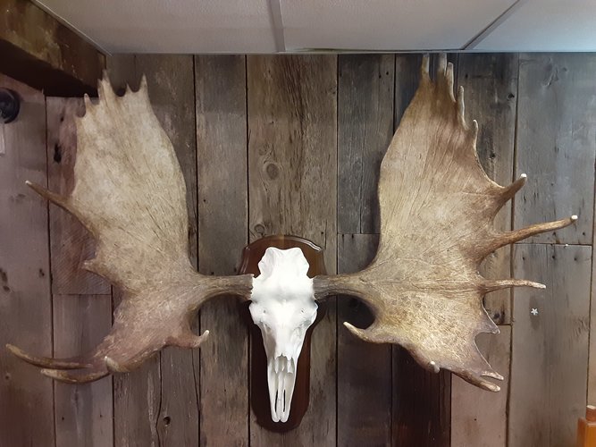 20200315_200821.jpg 20200315_200821.jpg