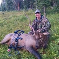 Colorado elk.jpg