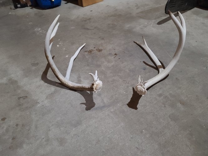 20201017_213840.jpg 20201017_213840.jpg