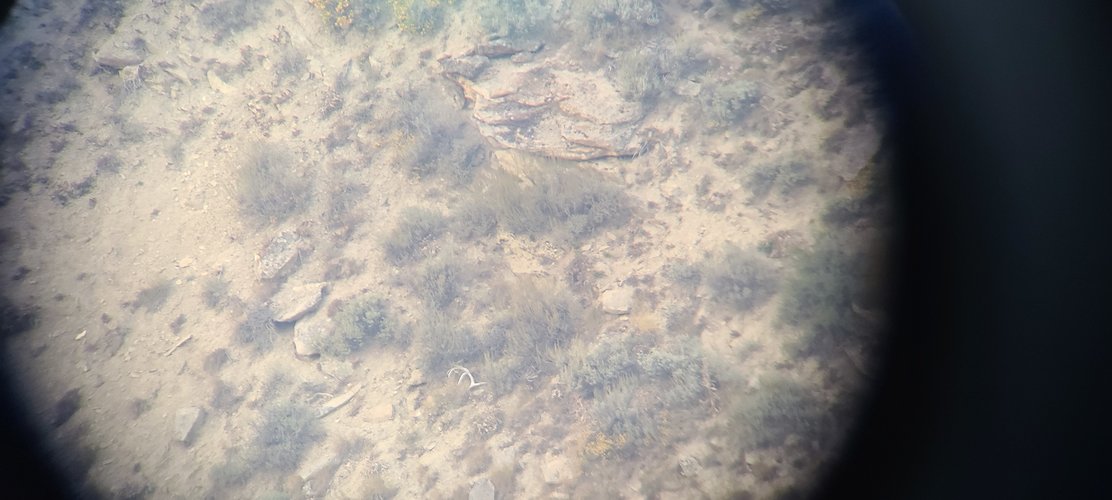 20200917_183542.jpg 20200917_183542.jpg