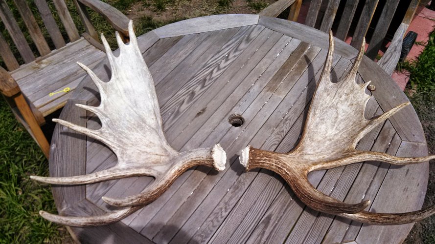 IMG_20140504_140632_181.jpg IMG_20140504_140632_181.jpg