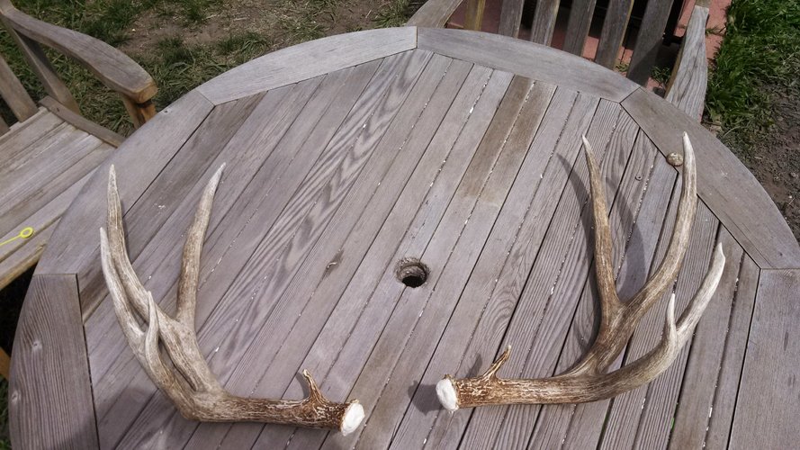 IMG_20140504_140816_059.jpg IMG_20140504_140816_059.jpg