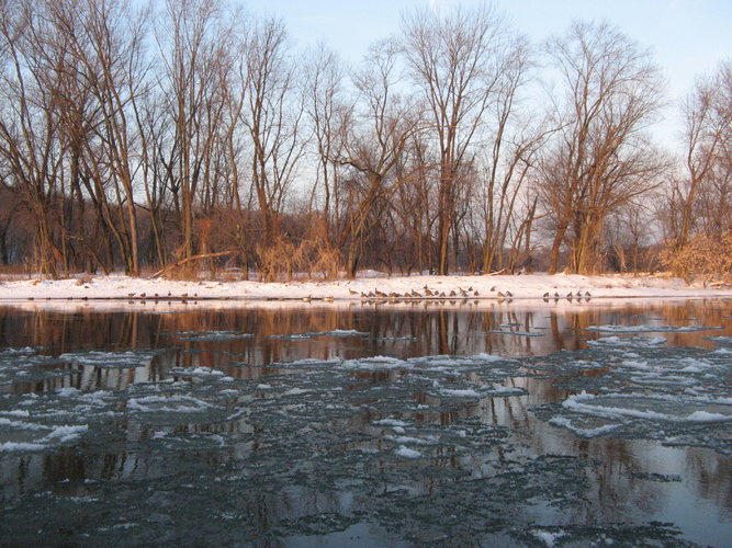 20101210 049.jpg 20101210 049.jpg