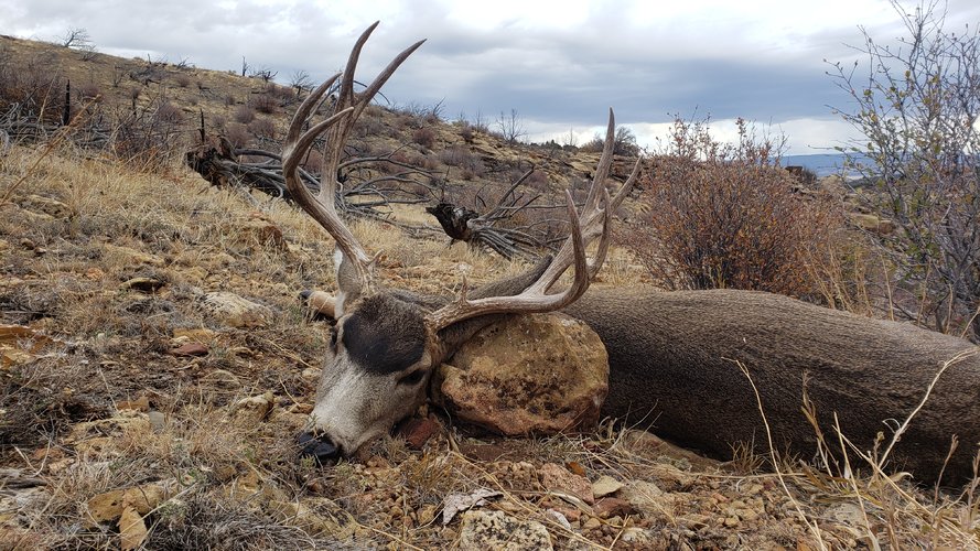 20201025_091041.jpg 20201025_091041.jpg