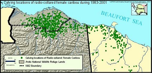 Caribou_calving_map.jpg