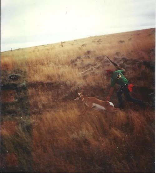 runningafterantelope.jpg