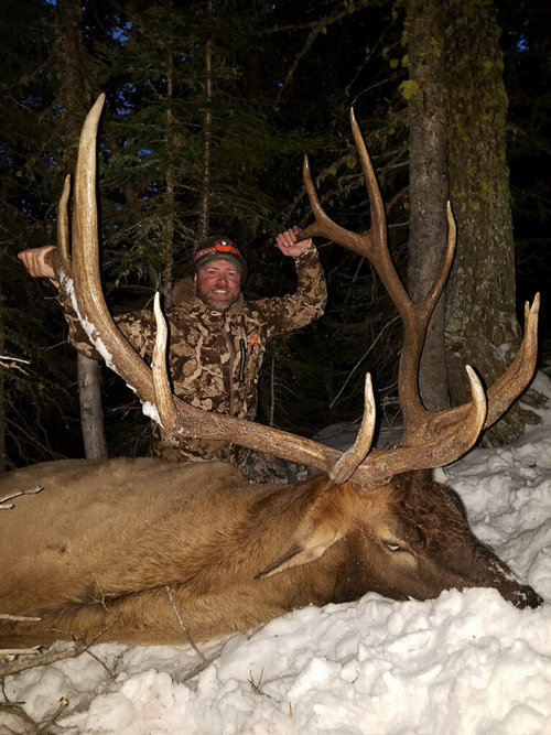 elk.jpg elk.jpg