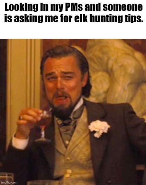 4vv0hi.jpg