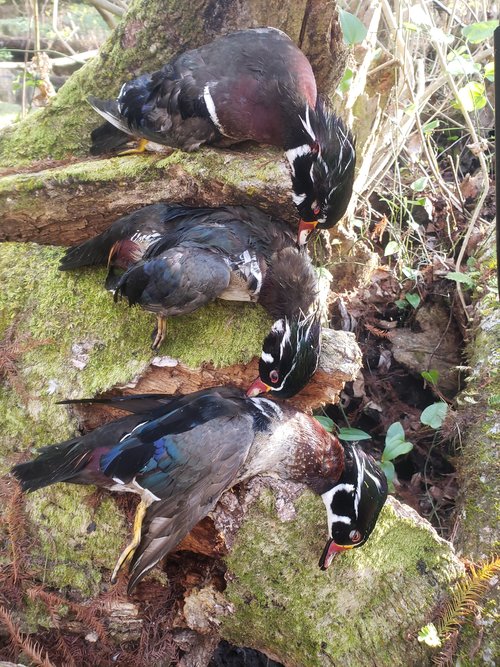 20210130_092957.jpg 20210130_092957.jpg