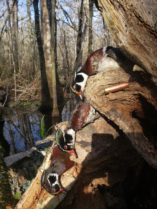 20210130_093337.jpg 20210130_093337.jpg