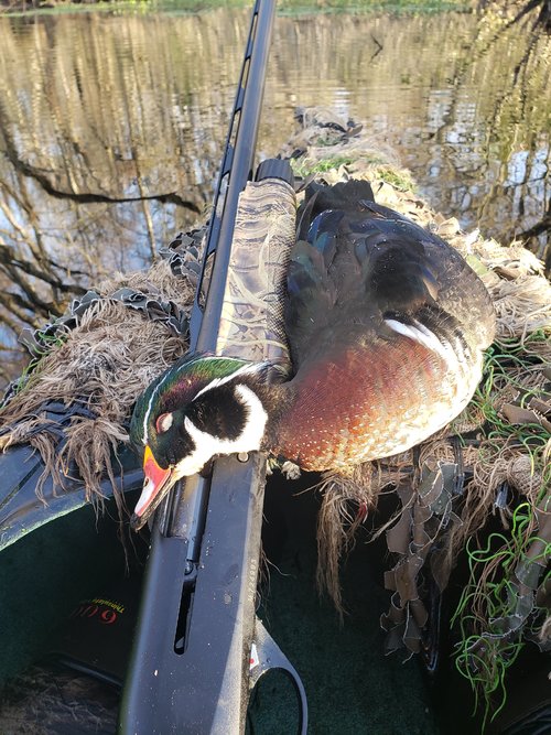 20210130_081554.jpg 20210130_081554.jpg