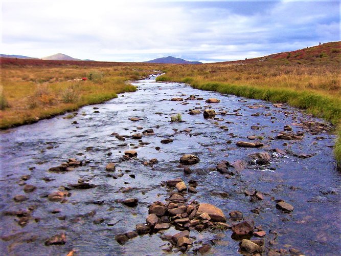 Headwaters.jpg Headwaters.jpg