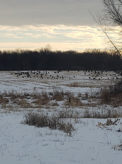 20210128_155457.jpg 20210128_155457.jpg