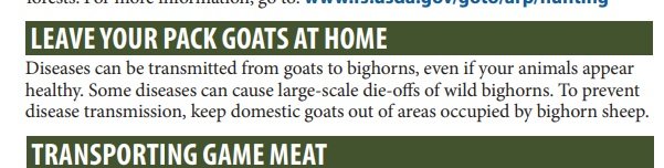 goats.jpg