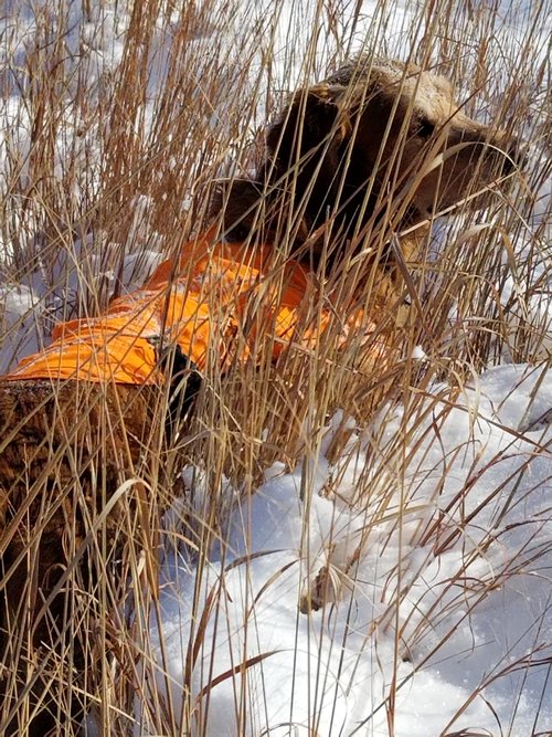 20210127_104510.jpg 20210127_104510.jpg