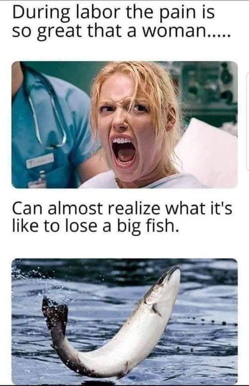 bigfish.jpg