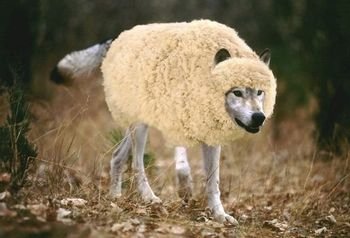 1612924164063.jpeg 1612924164063.jpeg