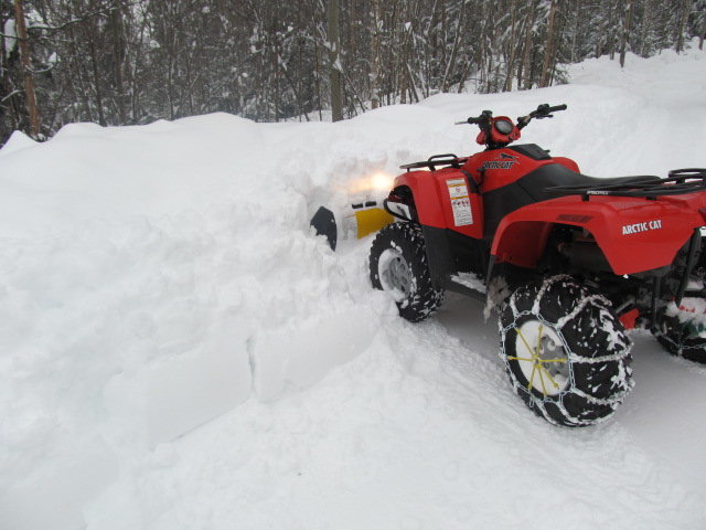 IMG_0993.JPG IMG_0993.JPG