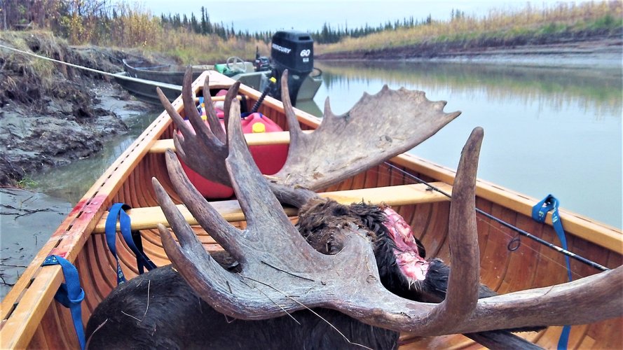 Canoe_MooseAntlers.jpg Canoe_MooseAntlers.jpg