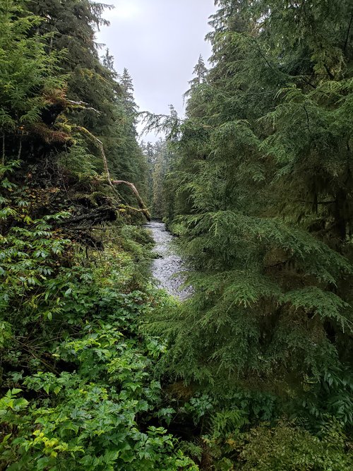 River Pic (2).jpg