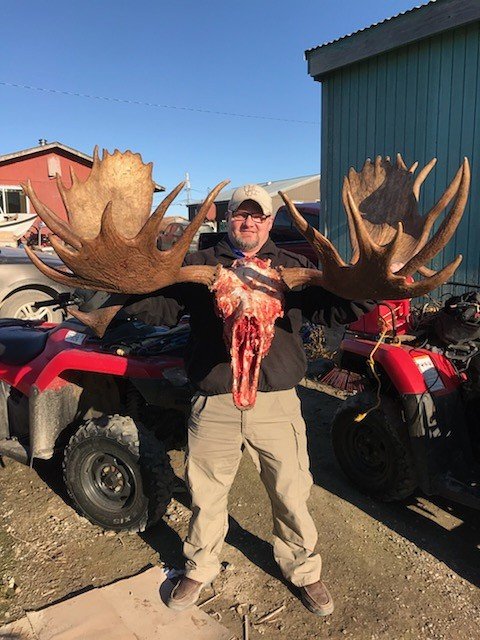 2017 alaskan moose.JPG