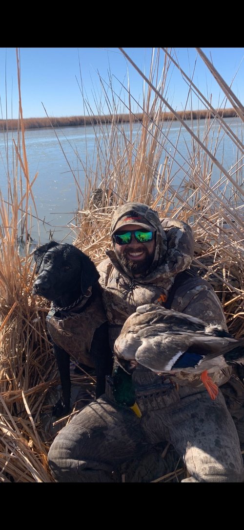 bubs greenhead.jpg bubs greenhead.jpg