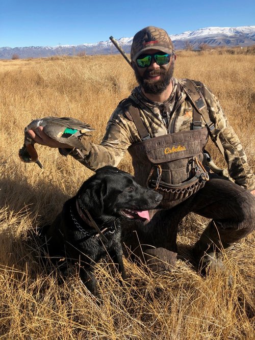 teal.jpg teal.jpg