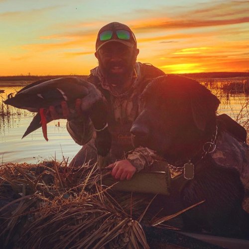 greenhead.jpg greenhead.jpg