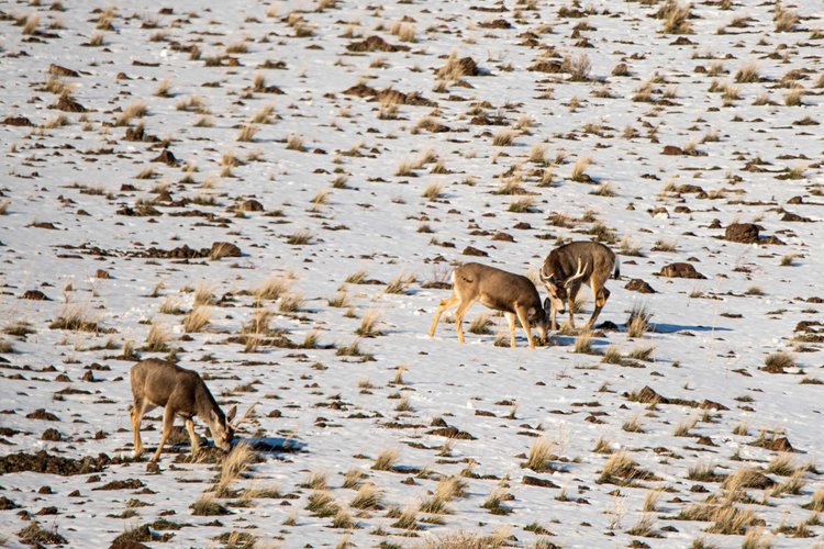 DSC_9930-1.jpg DSC_9930-1.jpg
