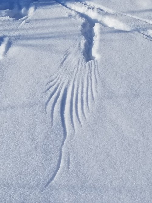 20210219_155808.jpg 20210219_155808.jpg