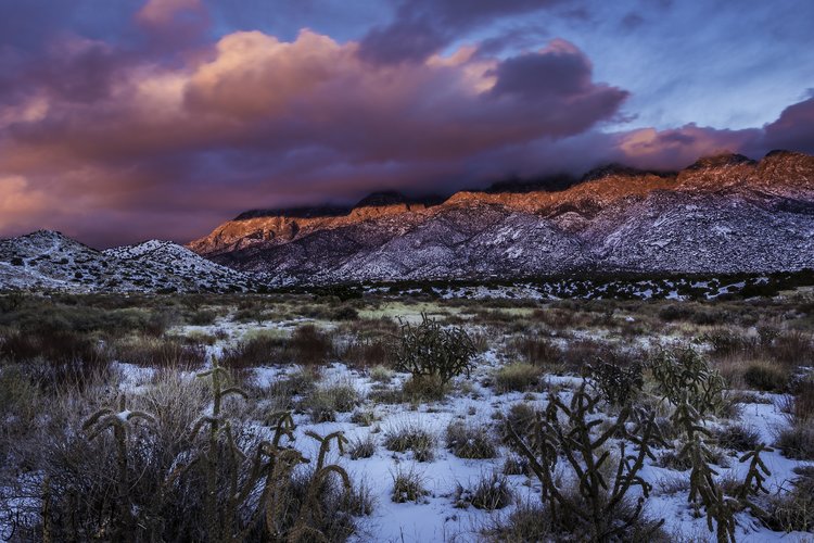 New Mexico Sandia Crest_web.jpg