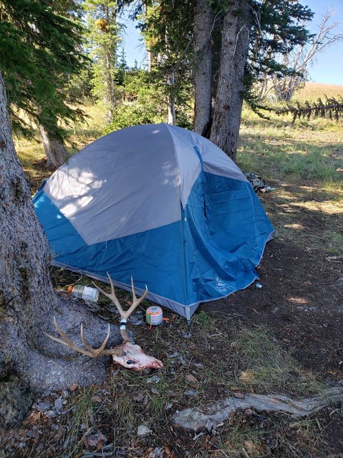 Tent.jpg