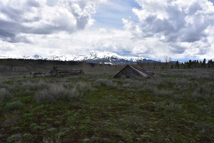 DSC_5718.JPG DSC_5718.JPG