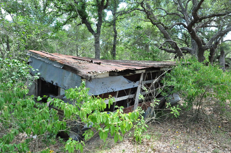 DSC_9728.JPG DSC_9728.JPG