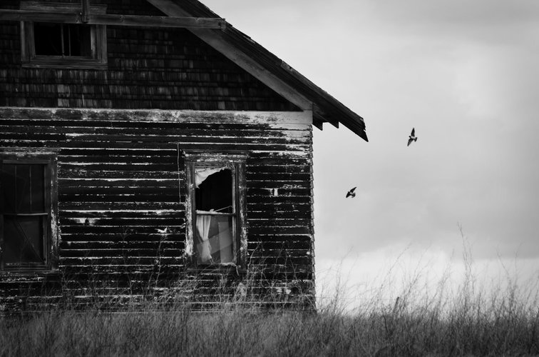 House and swallows 2mp.jpg House and swallows 2mp.jpg