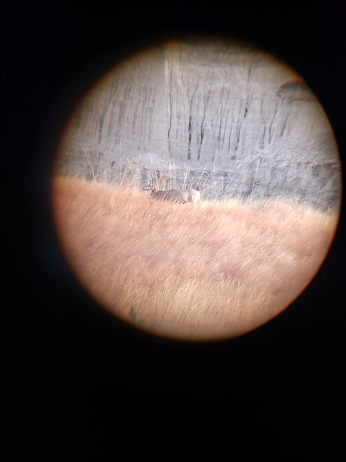 20191109_080023.jpg