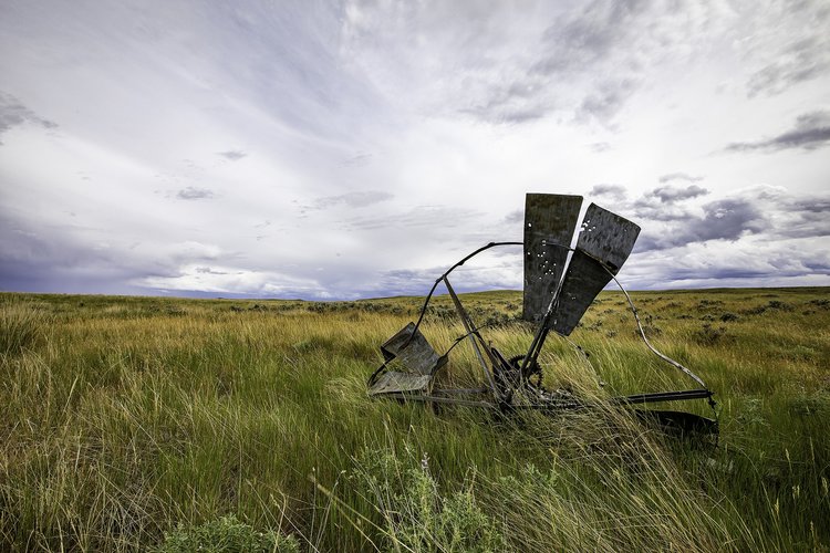 OWL_WINDMILL_WEB_small.jpg