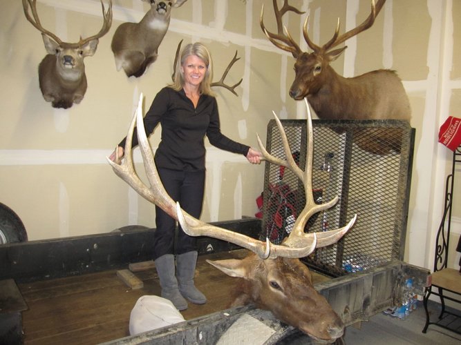 Kathy Bull.JPG Kathy Bull.JPG