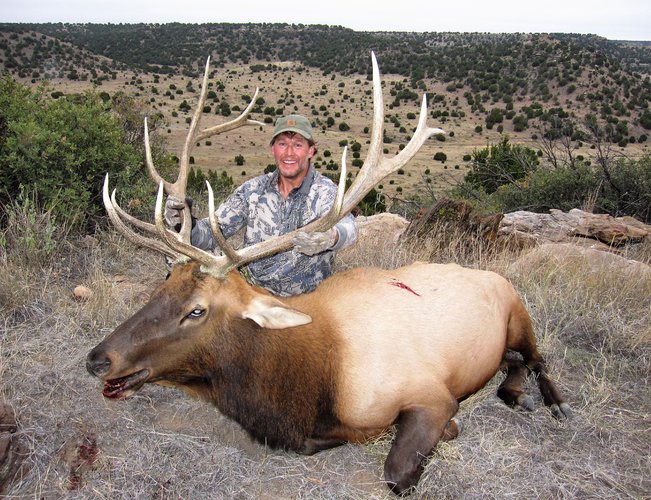 2020 CO Bull - 1.JPG 2020 CO Bull - 1.JPG