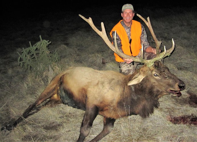 2020 CO Bull - 2.jpg 2020 CO Bull - 2.jpg