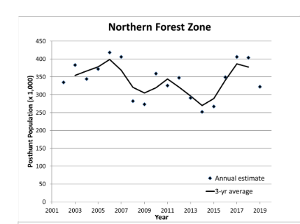 Northern Forest Zone.png