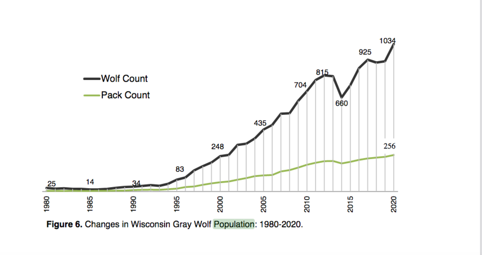 Wisconsin Wolves.png