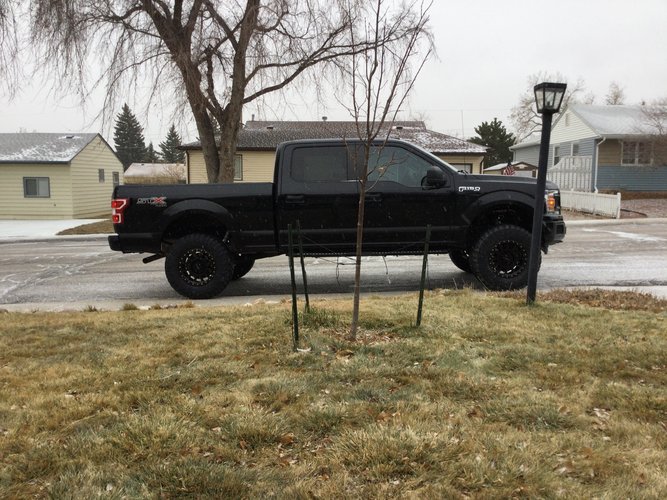 47CFAB4F-CA2C-4089-BC4C-E7672A3B4E39.jpeg 47CFAB4F-CA2C-4089-BC4C-E7672A3B4E39.jpeg