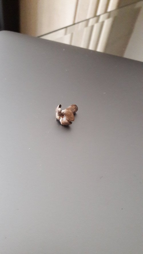 IMG-20210303-WA0003.jpeg