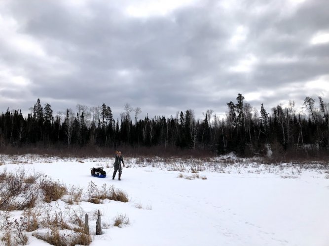 sleds 2.jpg sleds 2.jpg